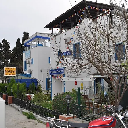 Cengizhan * Тургутрейс