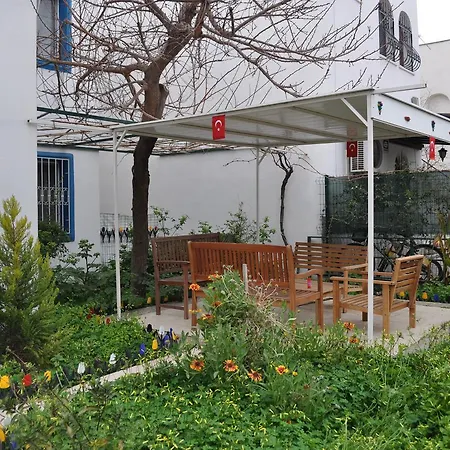 Cengizhan * 터그트레이스